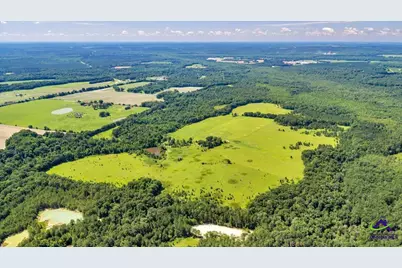 0 Sandbed Road, Kathleen, GA 31047 - Photo 7