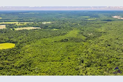 0 Sandbed Road, Kathleen, GA 31047 - Photo 19