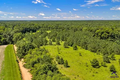 0 Sandbed Road, Kathleen, GA 31047 - Photo 41