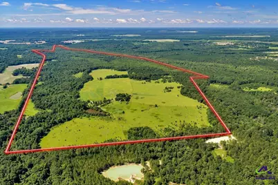 0 Sandbed Road, Kathleen, GA 31047 - Photo 5