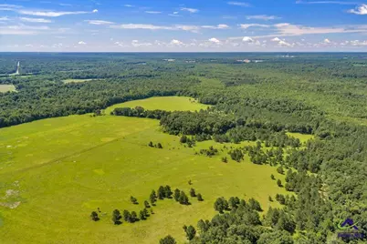 0 Sandbed Road, Kathleen, GA 31047 - Photo 13