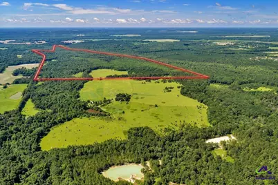 0 Sandbed Road, Kathleen, GA 31047 - Photo 3