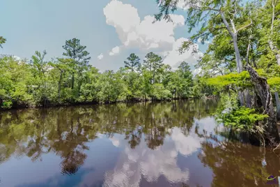 180 Shadydale Rd Road, Lumber City, GA 31549 - Photo 3