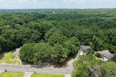 157 Carriage Hill Drive, Warner Robins, GA 31088 - Photo 3
