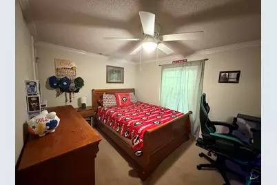 715 Grovania Road, Hawkinsville, GA 31036 - Photo 27