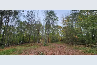 18 E Mourning Dove Court, Monticello, GA 31064 - Photo 1