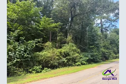 0 Alexander Way, Fort Valley, GA 31030 - Photo 3