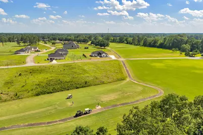 10 Crabapple Drive, Hawkinsville, GA 31036 - Photo 5