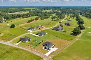 10 Crabapple Dr, Hawkinsville, GA 31036 - Photo 37