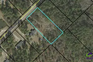 0 Pebble Hills Rd, Cochran, GA 31014 - Photo 1