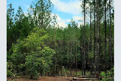 0 S Highway 42, Forsyth, GA 31029 - Photo 11
