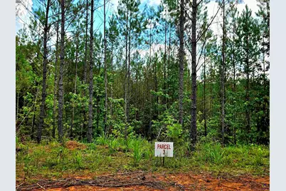 0 S Highway 42, Forsyth, GA 31029 - Photo 3