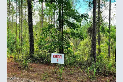 0 S Highway 42, Forsyth, GA 31029 - Photo 5