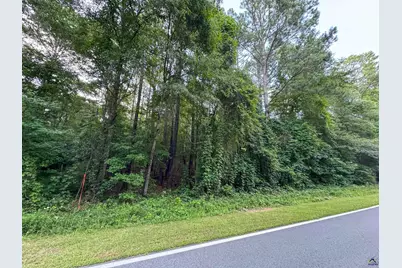 12.6 Acres Hicks Road, Roberta, GA 31078 - Photo 5