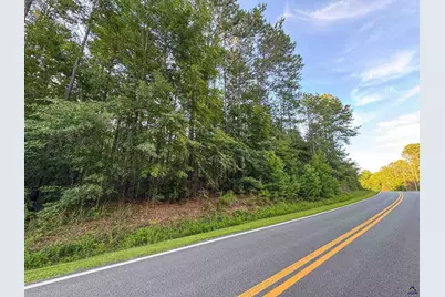 12.6 Acres Hicks Road, Roberta, GA 31078 - Photo 15