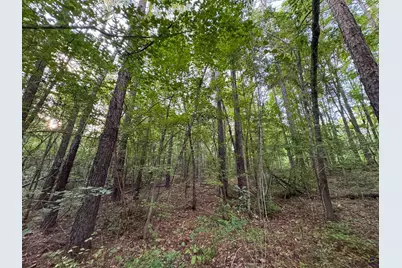 12.6 Acres Hicks Road, Roberta, GA 31078 - Photo 17