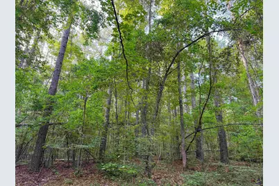12.6 Acres Hicks Road, Roberta, GA 31078 - Photo 13