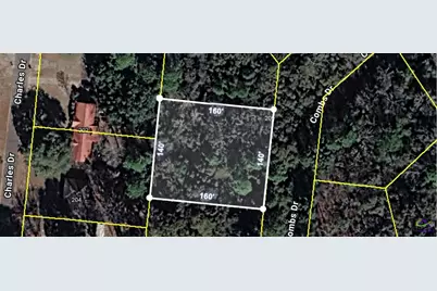 205 Combs Drive, Montezuma, GA 31063 - Photo 1