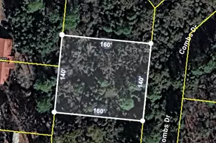 205 Combs Dr, Montezuma, GA 31063 - Photo 1