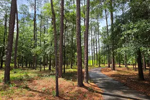 692 Albert Lampkin Rd, Eastman, GA 31023 - Photo 5