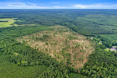 2 Hwy 129, Dry Branch, GA 31020 - Photo 25