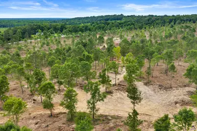 2 Hwy 129, Dry Branch, GA 31020 - Photo 13