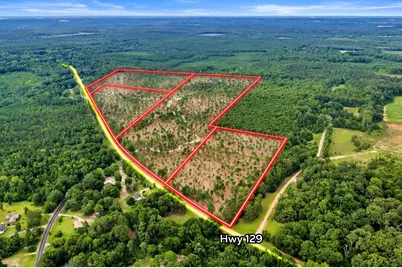 3 Hwy 129, Dry Branch, GA 31020 - Photo 3