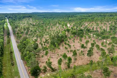 4 Hwy 129, Dry Branch, GA 31020 - Photo 7