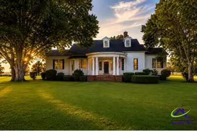 7890 Poplar Springs Road, Byromville, GA 31007 - Photo 1