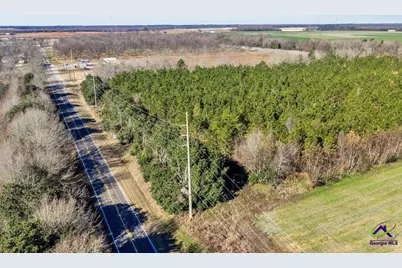 Hwy 341/49 Highway 341/49, Fort Valley, GA 31030 - Photo 5