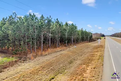 Hwy 341/49 Highway 341/49, Fort Valley, GA 31030 - Photo 13