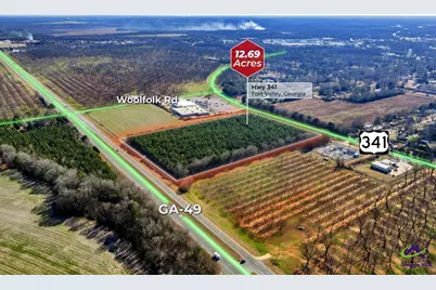 Hwy 341/49 Highway 341/49, Fort Valley, GA 31030 - Photo 1