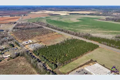 Hwy 341/49 Highway 341/49, Fort Valley, GA 31030 - Photo 15