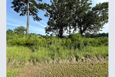 Lt 21 Camden Way, Hawkinsville, GA 31063 - Photo 5