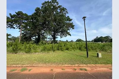 Lt 21 Camden Way, Hawkinsville, GA 31063 - Photo 3