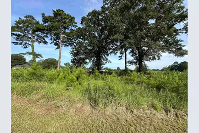 Lt 21 Camden Way, Hawkinsville, GA 31063 - Photo 1