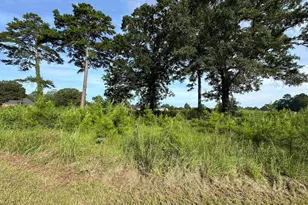Lt 21 Camden Way, Hawkinsville, GA 31063 - Photo 1