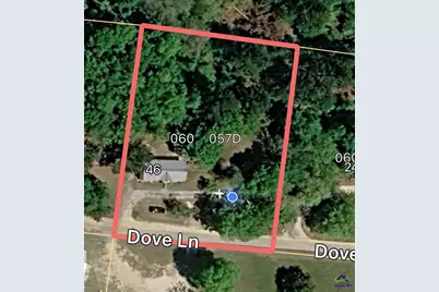 46 Dove Lane, Eastman, GA 31023 - Photo 29