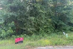 102 St Croix Ct, Perry, GA 31069 - Photo 1