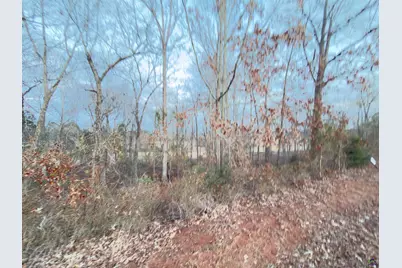 Lot 10 Oak Drive, Hawkinsville, GA 31028 - Photo 7