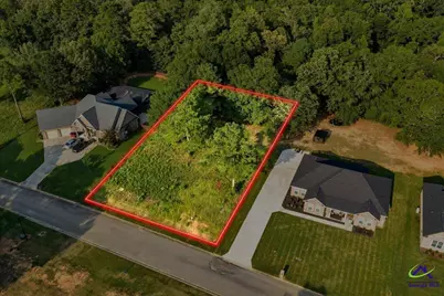0 River Ridge Drive, Hawkinsville, GA 31036 - Photo 3
