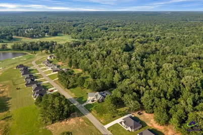 0 River Ridge Drive, Hawkinsville, GA 31036 - Photo 9