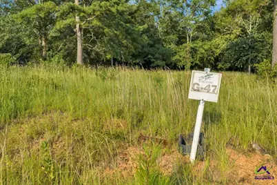 0 River Ridge Drive, Hawkinsville, GA 31036 - Photo 7