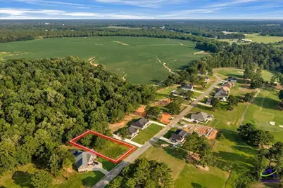 0 River Ridge Drive, Hawkinsville, GA 31036 - Photo 5