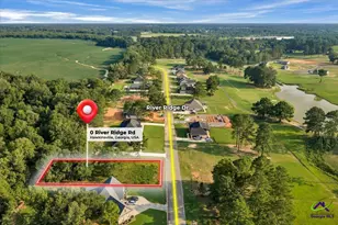 0 River Ridge Dr, Hawkinsville, GA 31036 - Photo 1