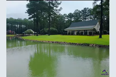 85 Antioch Church Road, Hawkinsville, GA 31036 - Photo 1