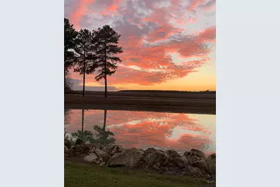 85 Antioch Church Road, Hawkinsville, GA 31036 - Photo 15
