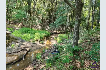 0 Lake Susie Road, Hawkinsville, GA 31036 - Photo 5