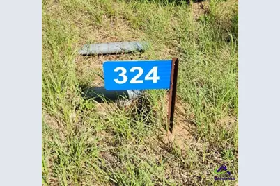 0 Lake Susie Road, Hawkinsville, GA 31036 - Photo 15