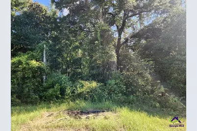 0 Lake Susie Road, Hawkinsville, GA 31036 - Photo 13